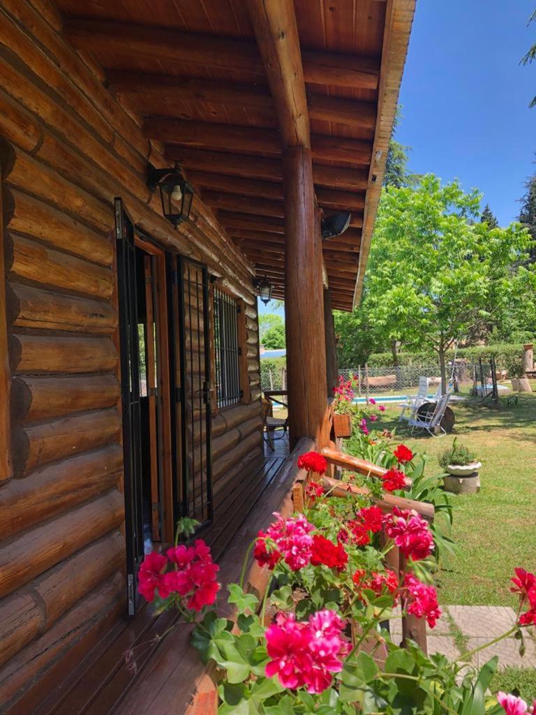 Ezeiza Quinta Cedro Azul 10 Min Del Aeropuerto Villa Exterior foto