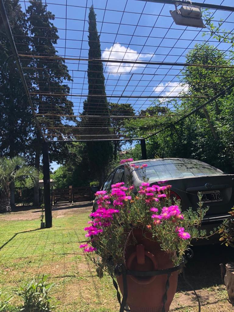 Ezeiza Quinta Cedro Azul 10 Min Del Aeropuerto Villa Exterior foto